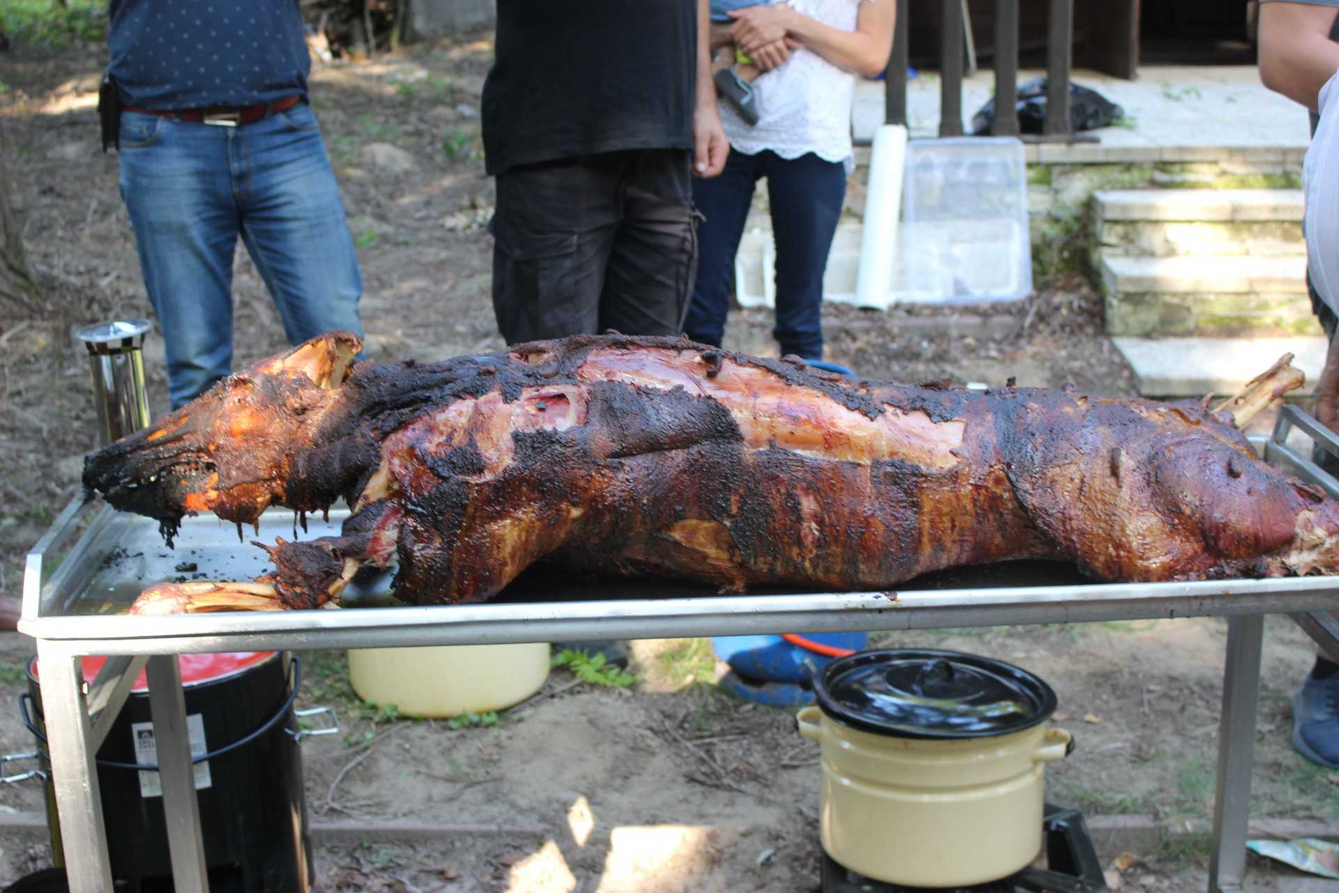Rozpoczęcie sezonu 2019/2020